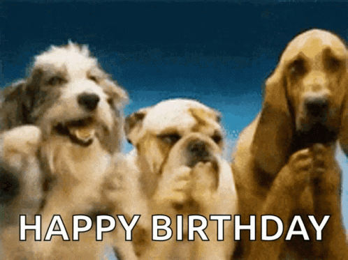 FunnyBirthdayFunnyHappyBirthdayGIF.gif