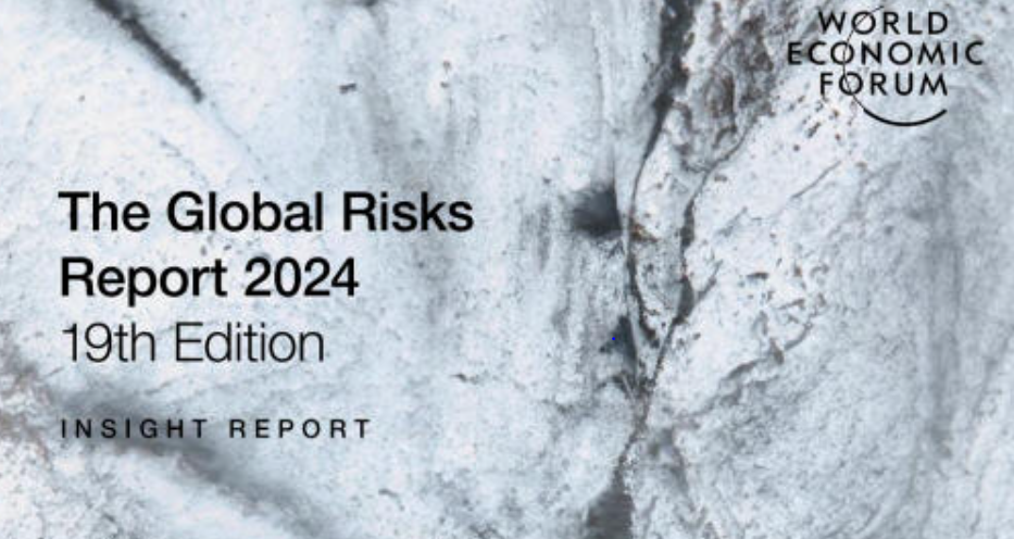 The Global Risks Report - WEC.PNG