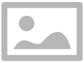 auto-save indicator.png